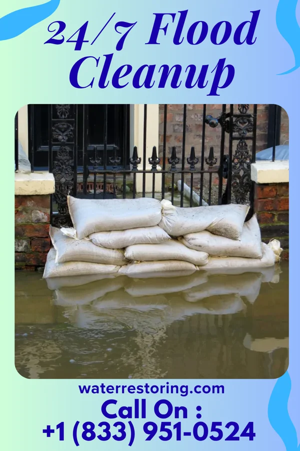 24/7 Flood Cleanup in Newport, DE