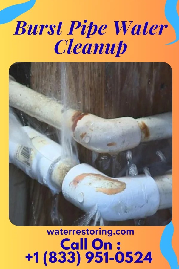 Burst Pipe Water Cleanup in Newport, DE