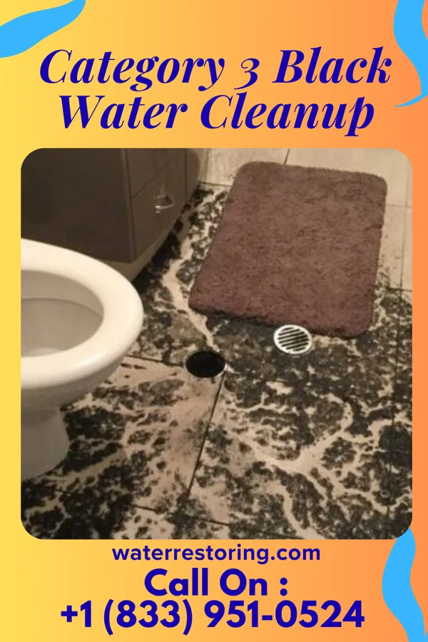 Category 3 Black Water Cleanup in Newport, DE