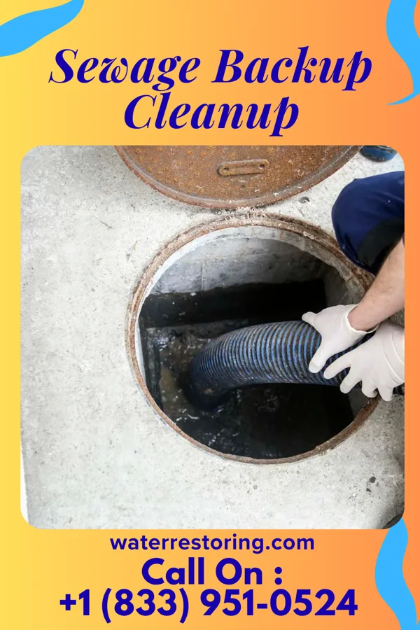 Sewage Backup Cleanup in Newport, DE